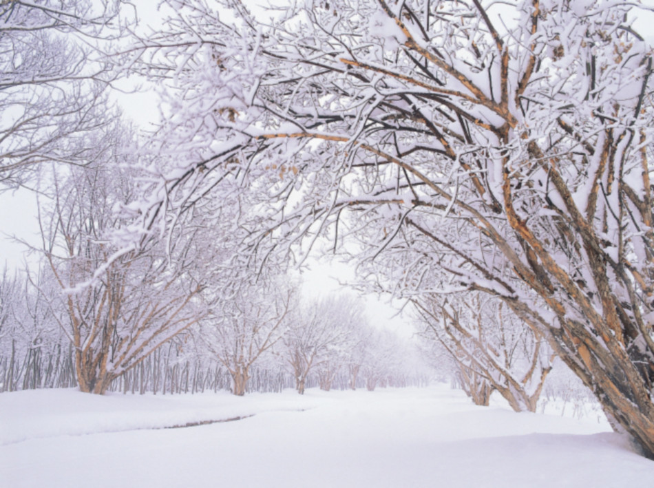 한택식물원. ⓒ 경기관광공사