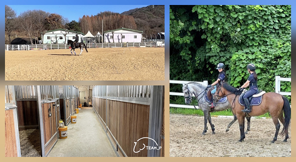 팀피승마클럽(TEAM P SC STABLE)은 선수 양성뿐만 아니라, 승마를 사랑하는 모든 이들에게 최상의 경험을 제공한다. ⓒ 팀피승마클럽