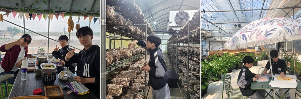 △ 경기투어패스를 이용해 `햇살가득버섯`에서 버섯 따기를 체험하고, `루나의뜰`에서 직접 피자를 만들어 먹으며 농촌 체험 시간을 보내고 있다. ⓒ 양시원 기자