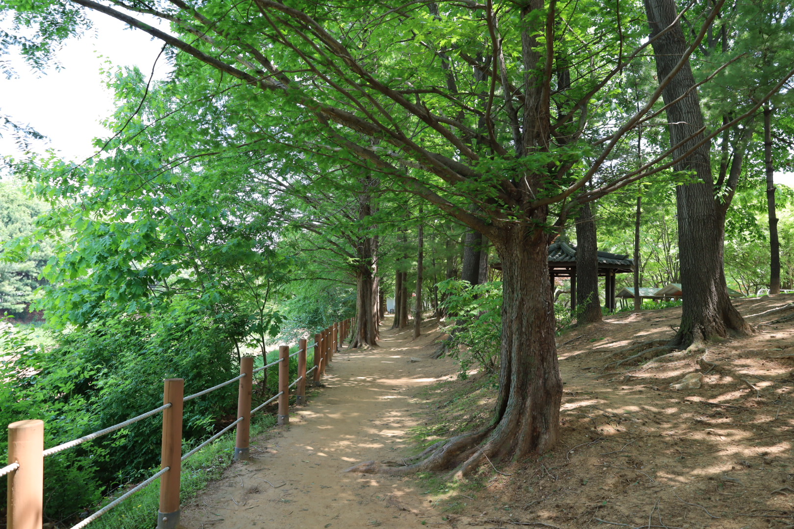 고양피크닉시민공원 내 산책로 ⓒ 안주형 기자