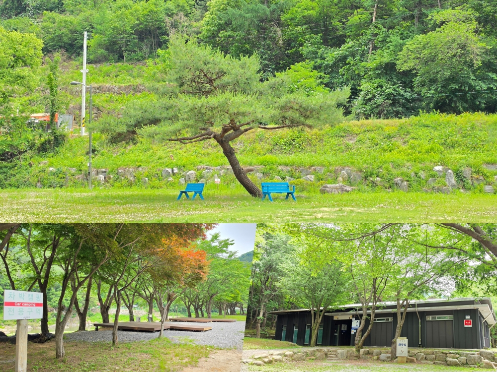 푸르름이 가득 내려앉은 관광지의 녹음 ⓒ 최병용 기자