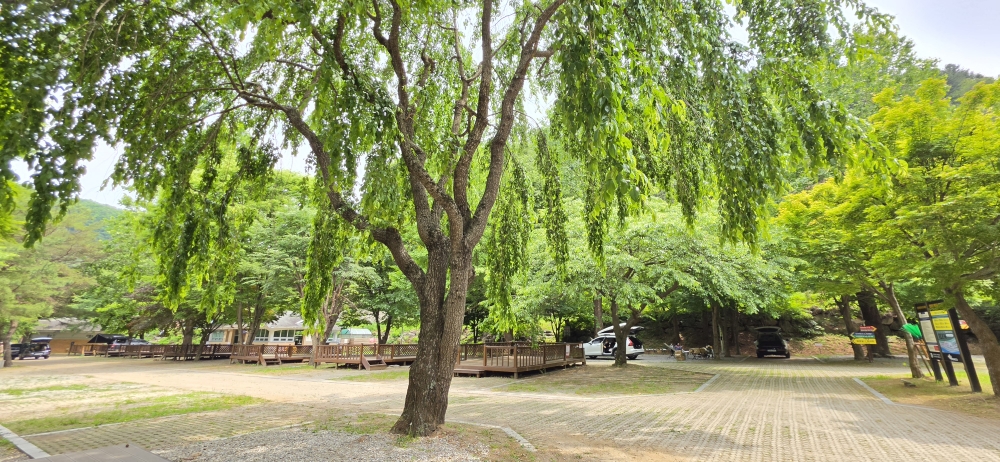차박이 가능한 차량 캠핑존 ⓒ 최병용 기자