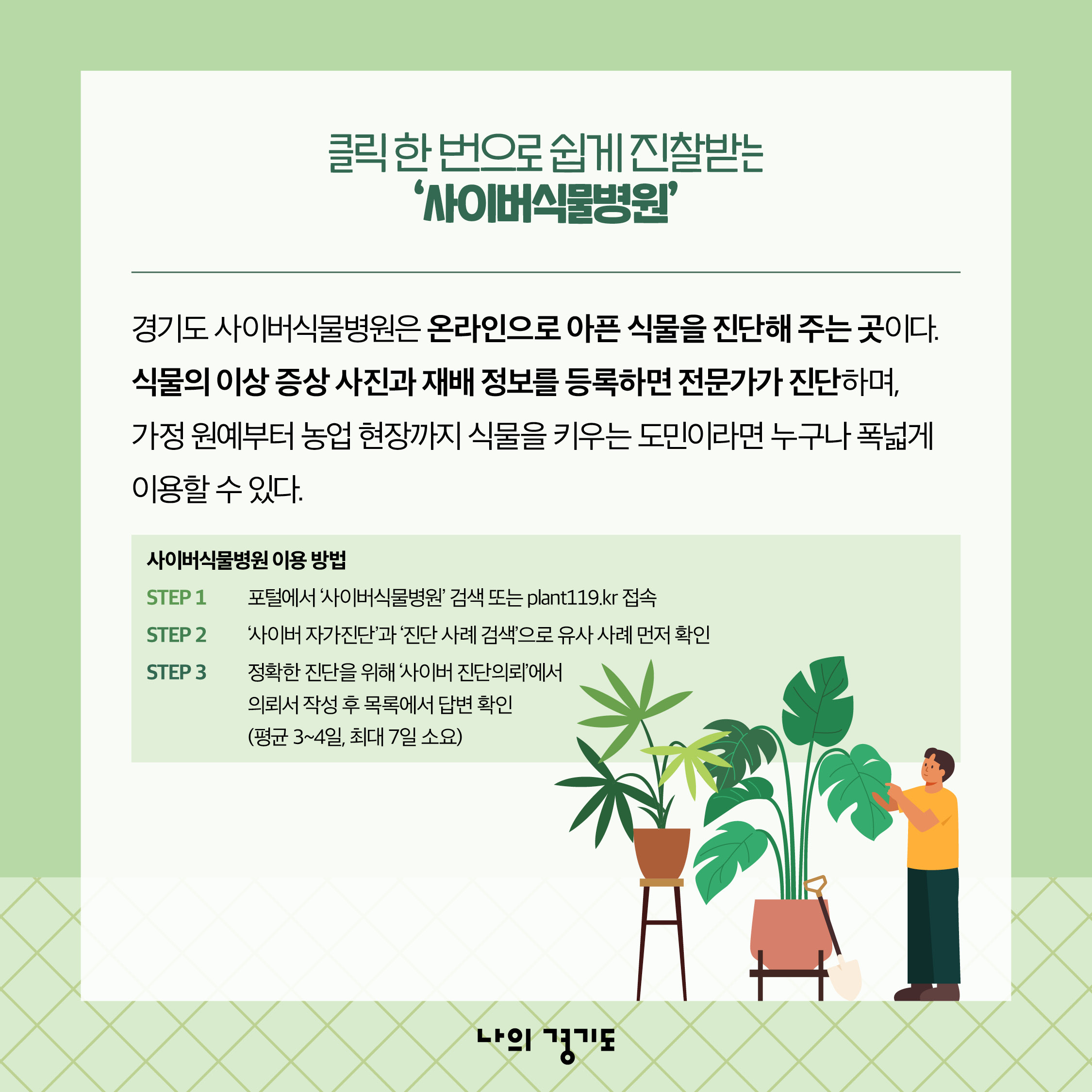 경기도 사이버식물병원은 온라인으로 아픈 식물을 진단해주는 곳입니다. 식물의 이상 증상 사진과 재배 정보를 등록하면 전문가가 진단하며, 가정 원예부터 농업 현장까지 식물을 키우는 도민이라면 누구나 폭넓게 이용할 수 있습니다. 이용 방법은 포털에서 &lsquo;사이버식물병원&rsquo; 검색 또는 plant119.kr로 접속한 뒤 &lsquo;사이버 자가진단&rsquo;과 &lsquo;진단 사례 검색&rsquo;으로 유사 사례를 먼저 확인하면 됩니다. 이후 정확한 진단을 위해 &lsquo;사이버 진단의뢰&rsquo;에서 의뢰서를 작성 후 목록에서 답변을 확인하면 됩니다. 답변은 평균 3~4일, 최대 7일이 소요됩니다. ⓒ 경기도청