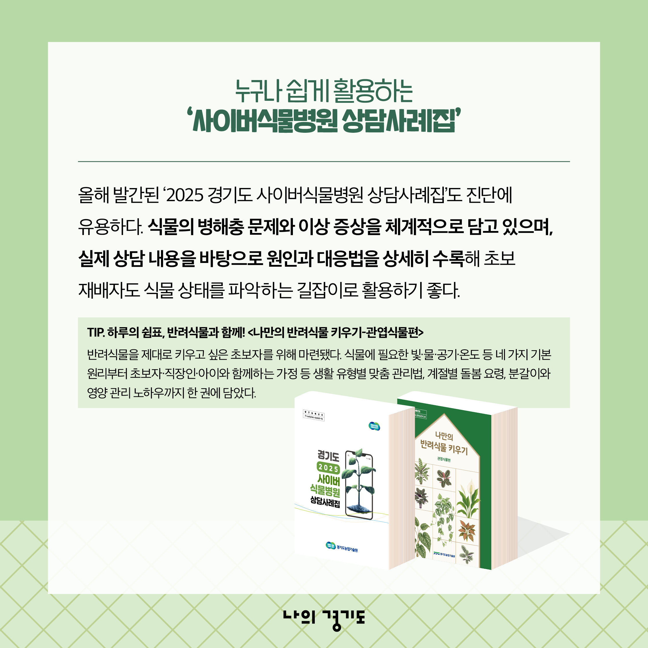 올해 발간된 &lsquo;2025 경기도 사이버식물병원 상담사례집&rsquo;도 진단에 유용합니다. 식물의 병해충 문제와 이상 증상을 체계적으로 담고 있으며, 실제 상담 내용을 바탕으로 원인과 대응법을 상세히 수록해 초보재배자들도 식물 상태를 파악하는 길잡이로 활용하기 좋습니다. 반려식물을 제대로 키워보고 싶은 초보자를 위해서 &lsquo;나만의 반려식물 키우기-관엽식물편&rsquo;도 추천합니다. 식물에 필요한 빛, 물, 공기, 온도 등 네 가지 기본 원리부터 초보자, 직장인, 아이와 함께 하는 가정 등 생활 유형별 맞춤 관리법, 계절별 돌봄 요령, 분갈이와 영양 관리 노하우까지 한 권에 남아냈습니다. ⓒ 경기도청