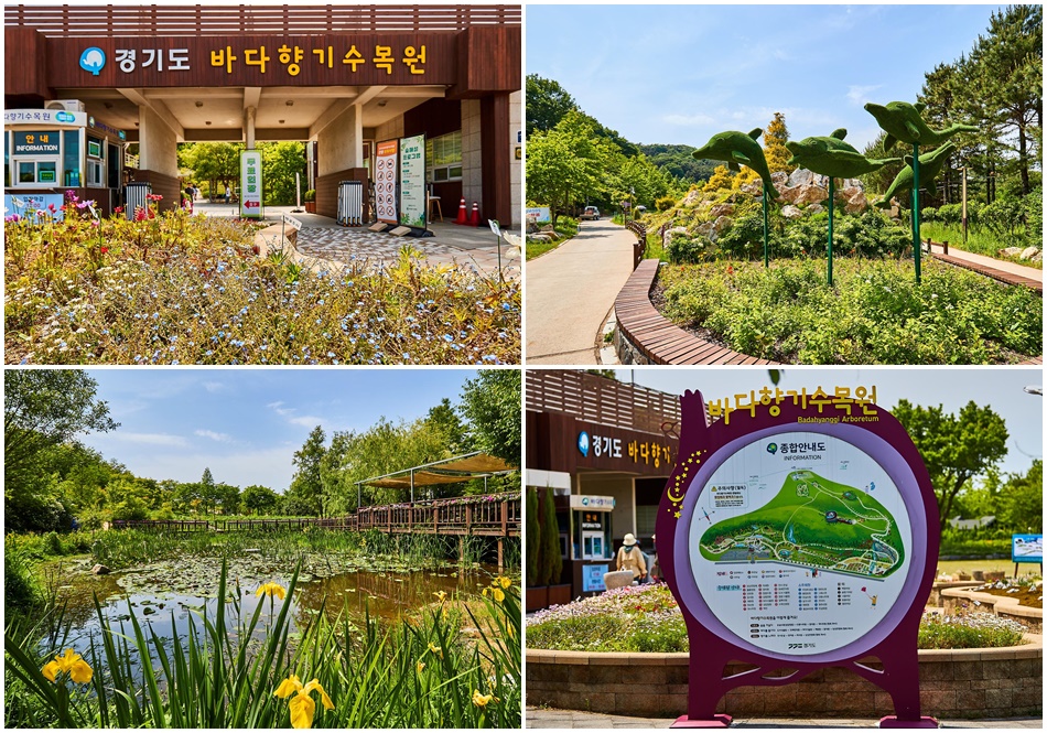경기도립 수목원 ‘바다향기수목원’ 전경. 자료 사진. ⓒ 경기뉴스광장 김지호