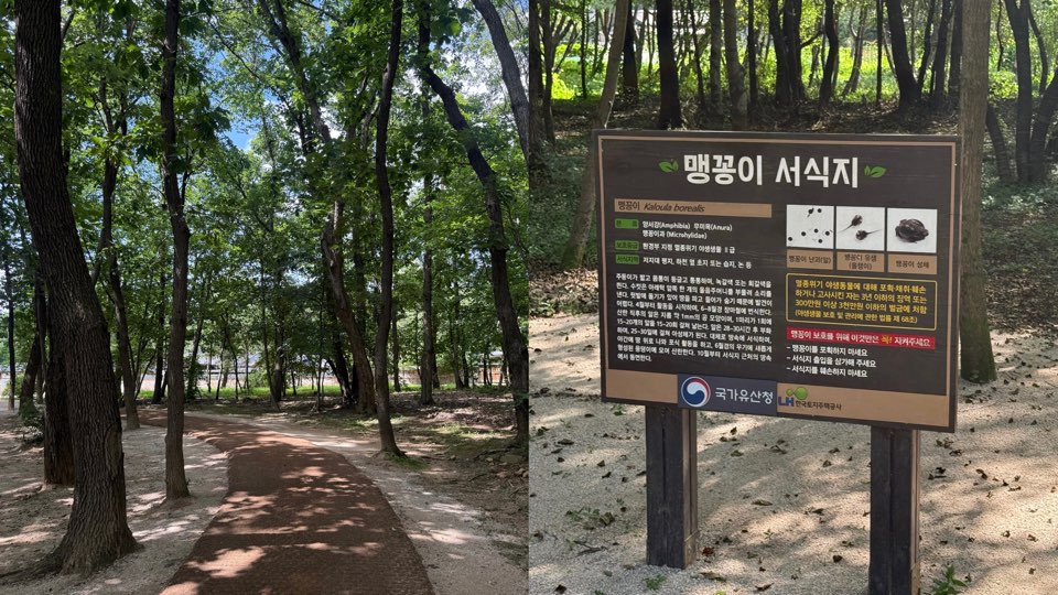 서오릉의 울창한 숲길과 맹꽁이 서식지 안내 ⓒ 박서연 기자