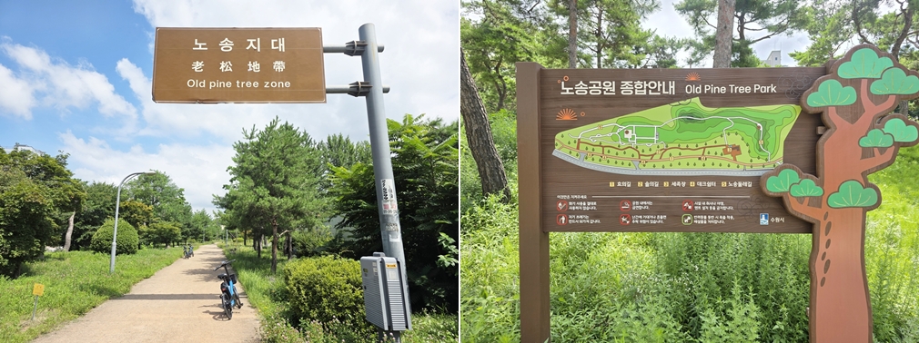 경기도 수원시 노송지대 입구와 종합 안내판 ⓒ 이재형 기자