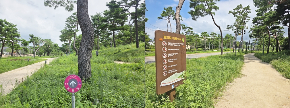 수원 노송지대는 팔색길 중 효행길 경유 코스다. ⓒ 이재형 기자