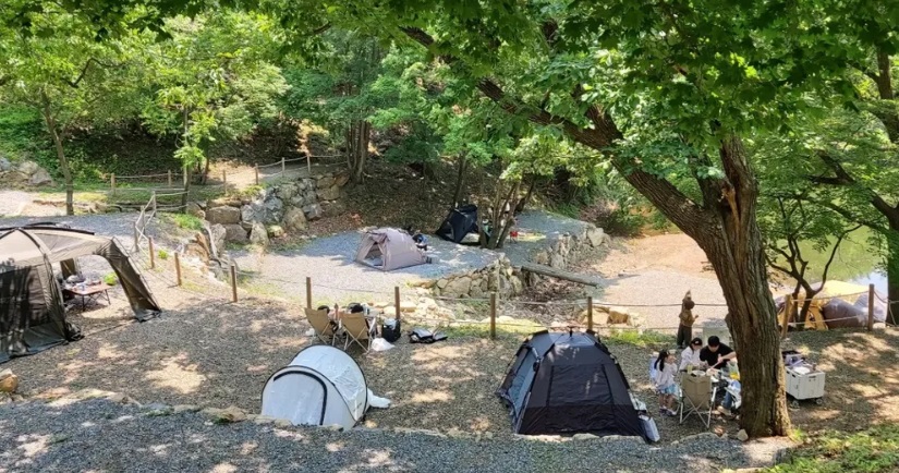 라까시나 이태리의 피크닉 존에서는 억새나 카페, 연못을 바라보며 여유롭게 캠크닉을 즐길 수 있다. ⓒ 라까시나 이태리 인스타그램 출처