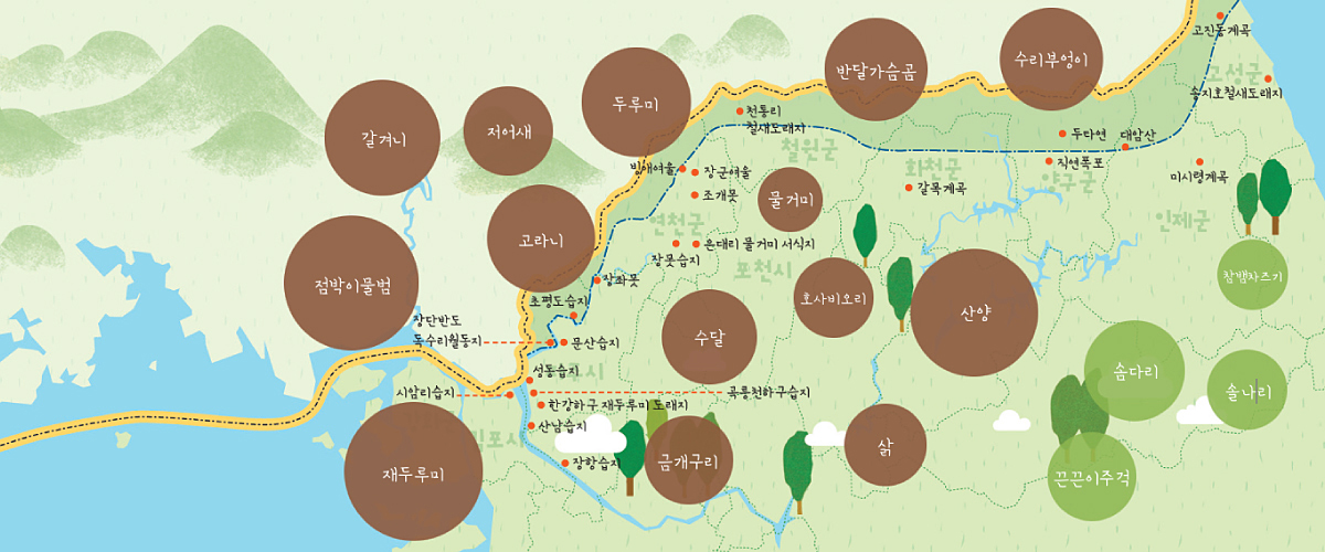 DMZ의 자연환경 ⓒ 경기도 DMZ 비무장지대 누리집