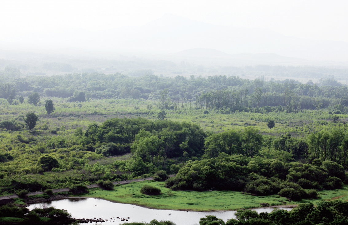 DMZ 전경 ⓒ 경기도 DMZ 비무장지대 누리집