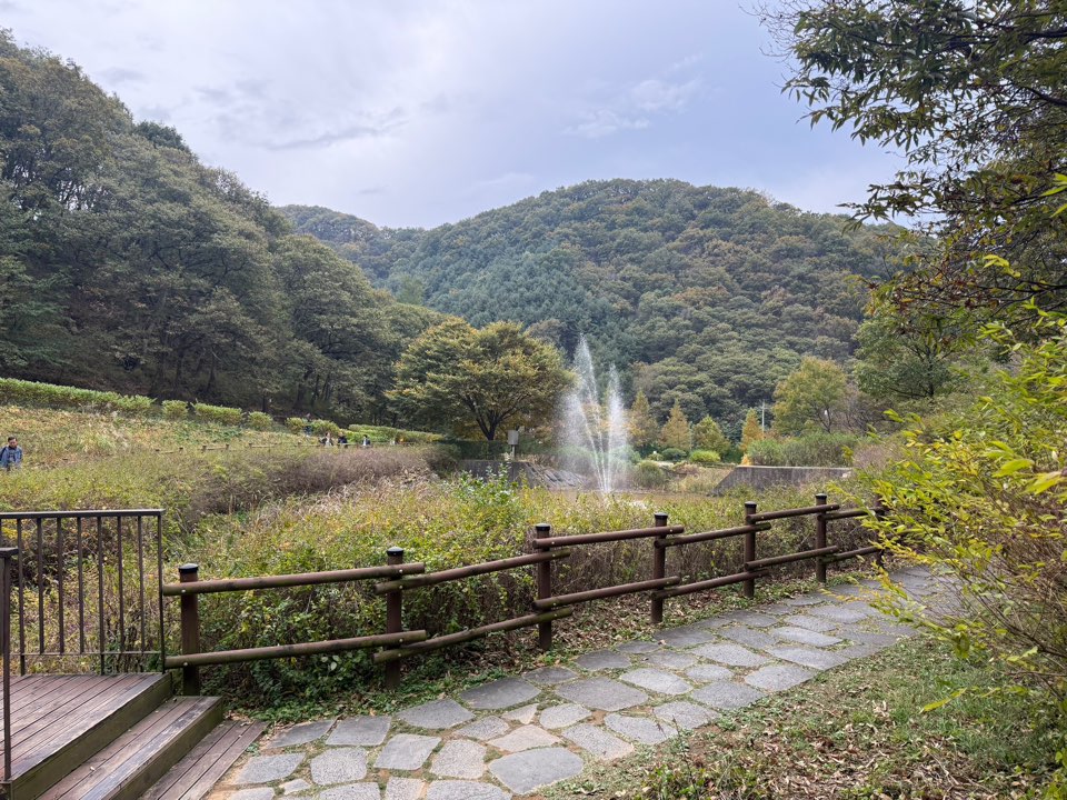 율곡수목원 산책길 ⓒ 박서연 기자