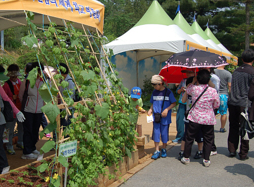  ‘내가 그린(Green) 경기도’ 행사는 도시형 텃밭, 정원가꾸기 문화 등을 알리고 도민들이 직접 체험을 통해 녹색생활을 실천할 수 있도록 마련된 자리다. 도민들이 옥상농원과 상자텃밭 등이 전시된 부스를 둘러보고 있다. 