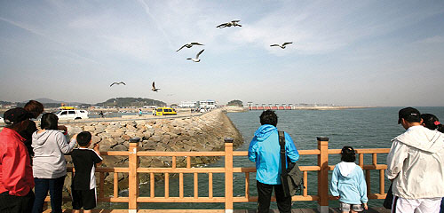 입파도는 궁평항에서 40여 분간 뱃길을 따라가면 짙푸른 바다위에 떠있는 작은 섬이다. 입파도 홍암은 궁평 낙조와 함께 화성 8경의 하나로 꼽힌다.