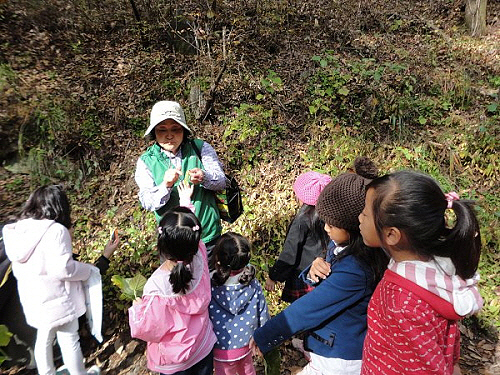 경기도에는 가족, 친구, 연인들이 함께 찾을 수 있는 농촌체험마을이 130여곳 조성돼 있다. 사진은 남양주 고로쇠마을을 찾은 어린이들이 두릅에 관해 설명을 듣고 있는 모습.