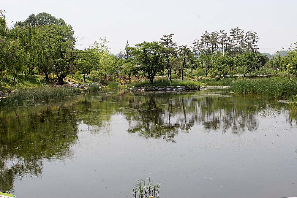 수생식물원.