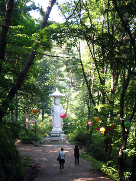 남양주 수종사 산책로.