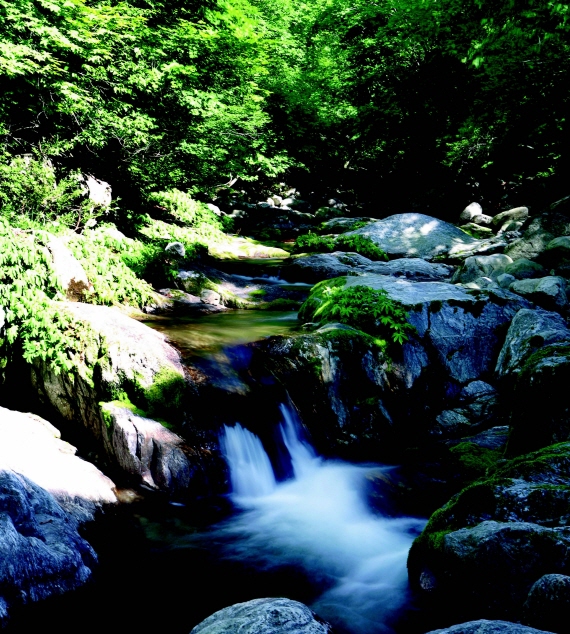 명지산과 화악산에서 발원한 계곡물이 모여 이뤄진 명지계곡은 수량이 풍부하고 물이 맑다.