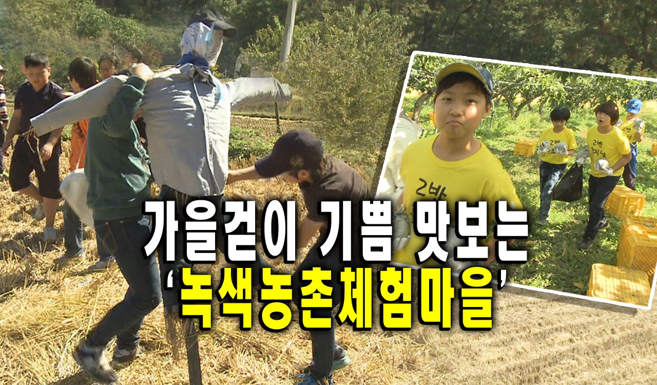 가을걷이 기쁨 맛보는 ‘녹색농촌체험마을’ : 일일뉴스 : 경기도뉴스포털 가을걷이 기쁨 맛보는 ‘녹색농촌체험마을’ 