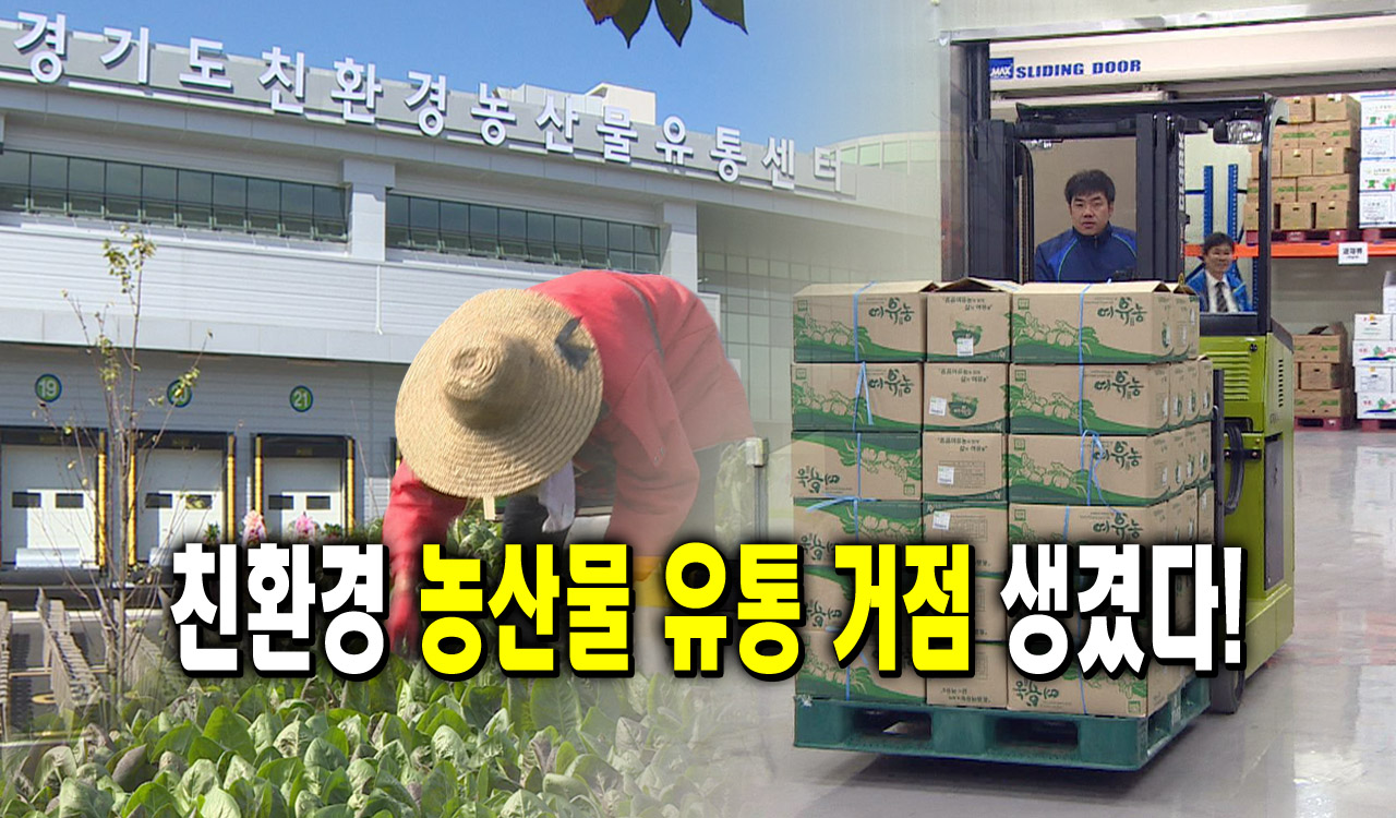 친환경 농산물 유통 거점 생겼다! : : 경기도뉴스포털 친환경 농산물 유통 거점 생겼다!