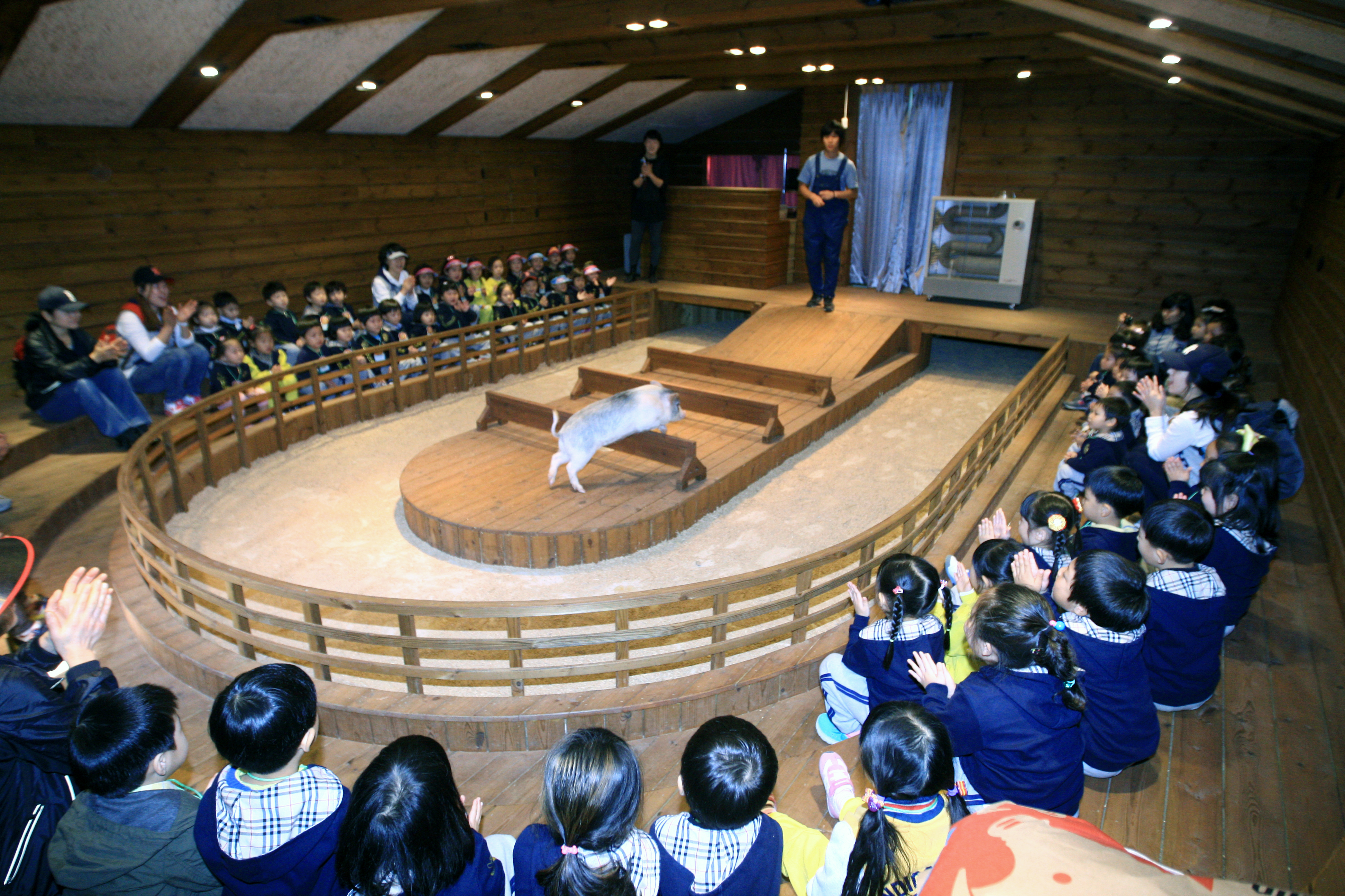 ‘돼지’를 주제로 한 국내 최초의 박물관.