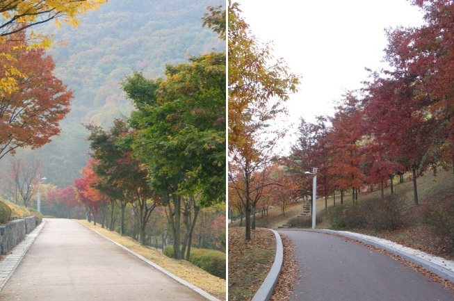 아직 채 푸르름이 가시지 않은 병목안 시민공원.