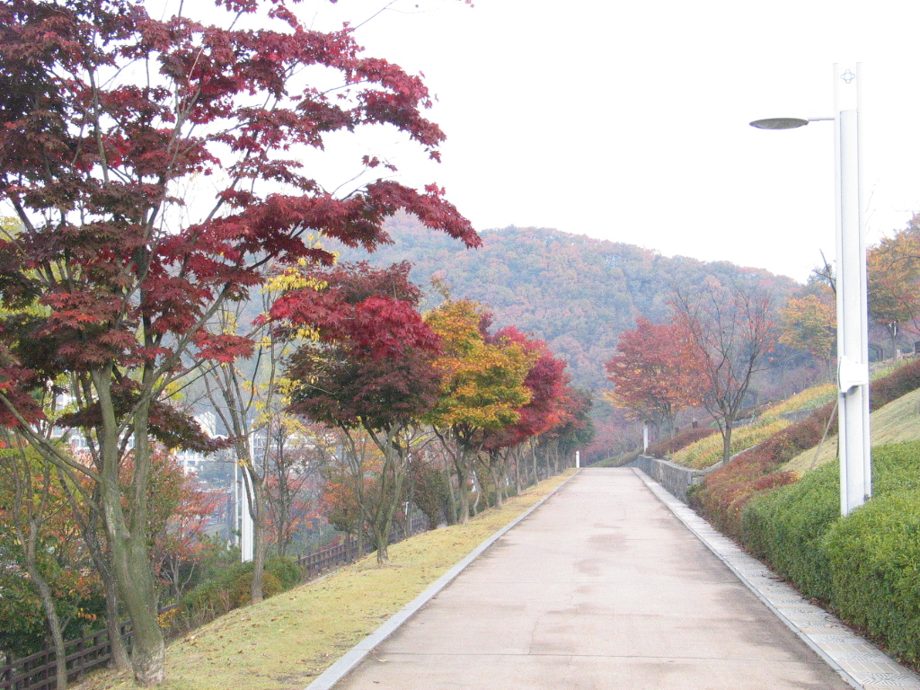 병목안 시민공원의 계단식 사계절 정원.