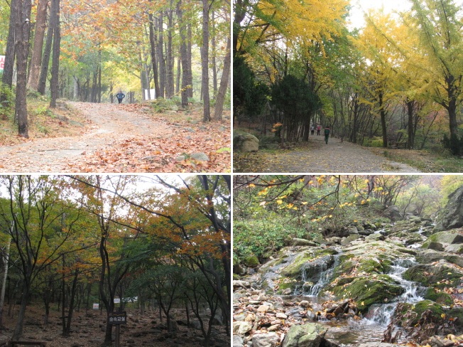 수리산 등산코스의 풍경.