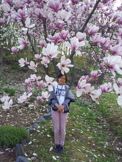 식물의 향기가 솔솔~ 풍기는 곳, 물향기수목원 : : 경기도뉴스포털 식물의 향기가 솔솔~ 풍기는 곳, 물향기수목원 
