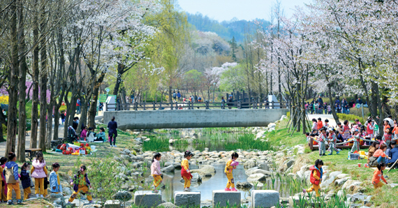 생태·산림교육의 장인 산림 전시관에서는 다양한 한국의 산림자료들이 매 분기별 다른 주제로 기획전을 열고 있다.