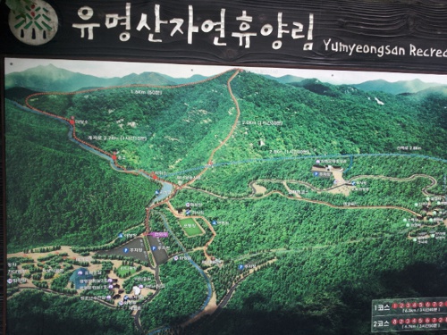 국립유명산자연휴향림 지도