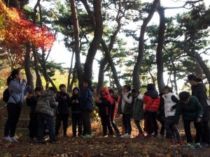 숲속 체험을 하는 경일초 4학년 학생들