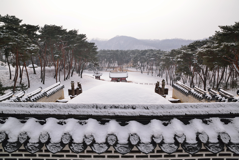 경기도는 ‘문화재 돌봄사업’ 대상을 도 지정 문화재까지 촘촘하고 효율적인 관리를 추진하기로 했다. 사진은 단종비인 정순황후의 능인 사릉.