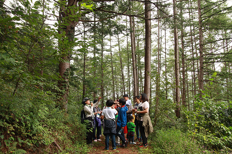 경기도는 올해부터 다문화가정, 한부모가정, 장애인 등 소외계층의 체험 프로그램 참가 기회를 확대할 방침이다.