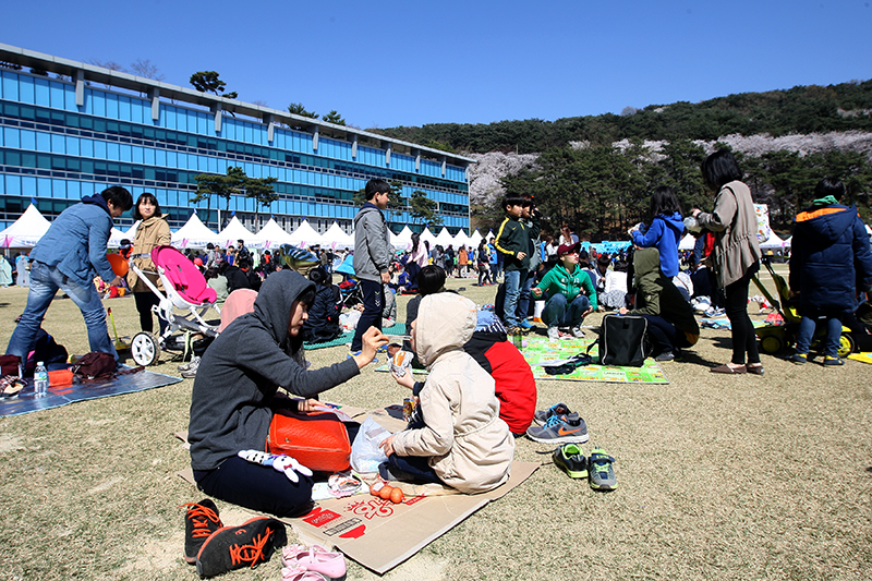 올해 경기도 벚꽃 축제에는 특별한 공연이나 행사가 없었음에도 행사 3일 동안 20만여 명이 방문했다.