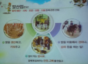 말 산업 홍보 화면