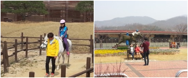 (왼쪽)말타기 체험 설레고 신 나요!, (오른쪽)렛츠런파크서울을 찾은 주해영(가명, 서울) 씨와 친구들