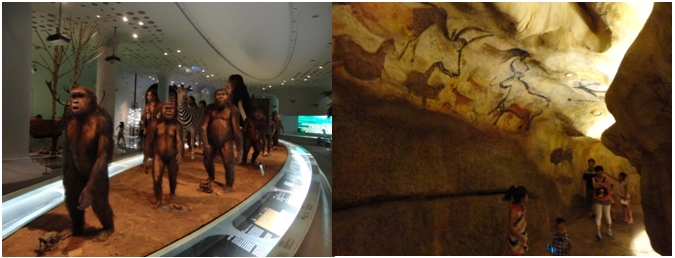 화석인류를 진화 순서에 따라 복원한 모습(왼쪽), 구석기 동굴 벽화(오른쪽)