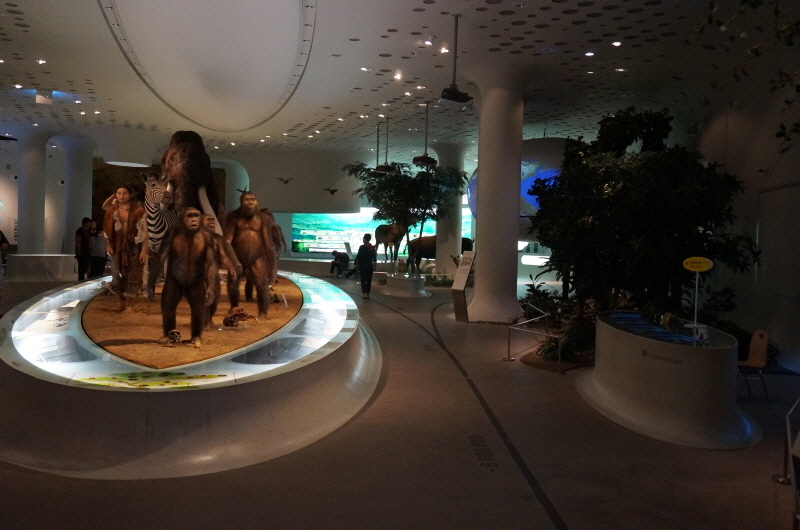 전곡선사박물관에서 가장 눈에 띄는 인류 진화의 위대한 행진.
