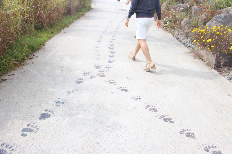 박물관으로 가는 길의 바닥에는 구석기인의 발자국을 연상시키는 그림이 있다.