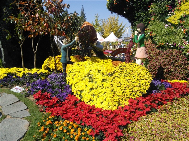 형형색색의 꽃들이 청명한 가을하늘 아래 활짝 피어 아름다운 축제장