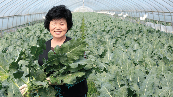 경기도 농어민대상/환경농업·신기술 부문 유순복 씨