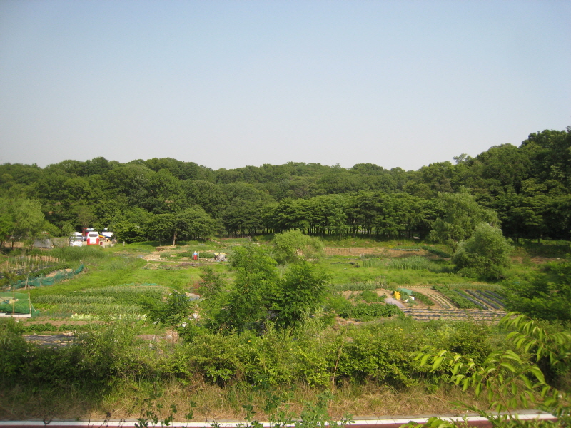 지난달 24일 발표된 정부의 ‘개발제한구역의 지정 및 관리에 관한 특별조치법 시행령’ 공포에 따라 도내 기존 건축물의 용도변경 가능 업종이 기존 30여 종에서 90여 종으로 대폭 확대된다.