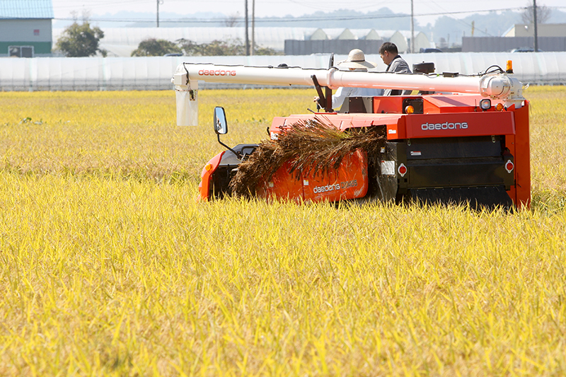 쌀 생산농가의 안정적 소득 보장을 위해 지원하는 2014년도 쌀소득보전고정직불금이 이달 중 지급된다. 자료사진.