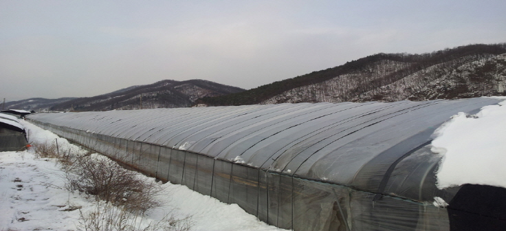 경기도, 19일까지 폭설·한파 대비 농업시설 점검 이미지