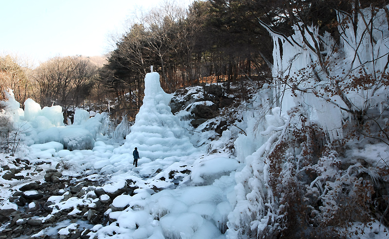 순백색 눈꽃이 흐드러지게 피는 계절, 경기도는 새해 소망을 다지며 떠나는 겨울산·자연휴양림·수목원 등 도내 순백의 겨울여행지를 추천했다. 사진은 축령산 자연휴양림의 거대한 얼음 기둥.