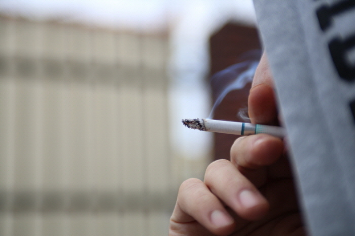 간접흡연 줄어들까? 2015년 달라지는 행정제도가 반가운 사람들