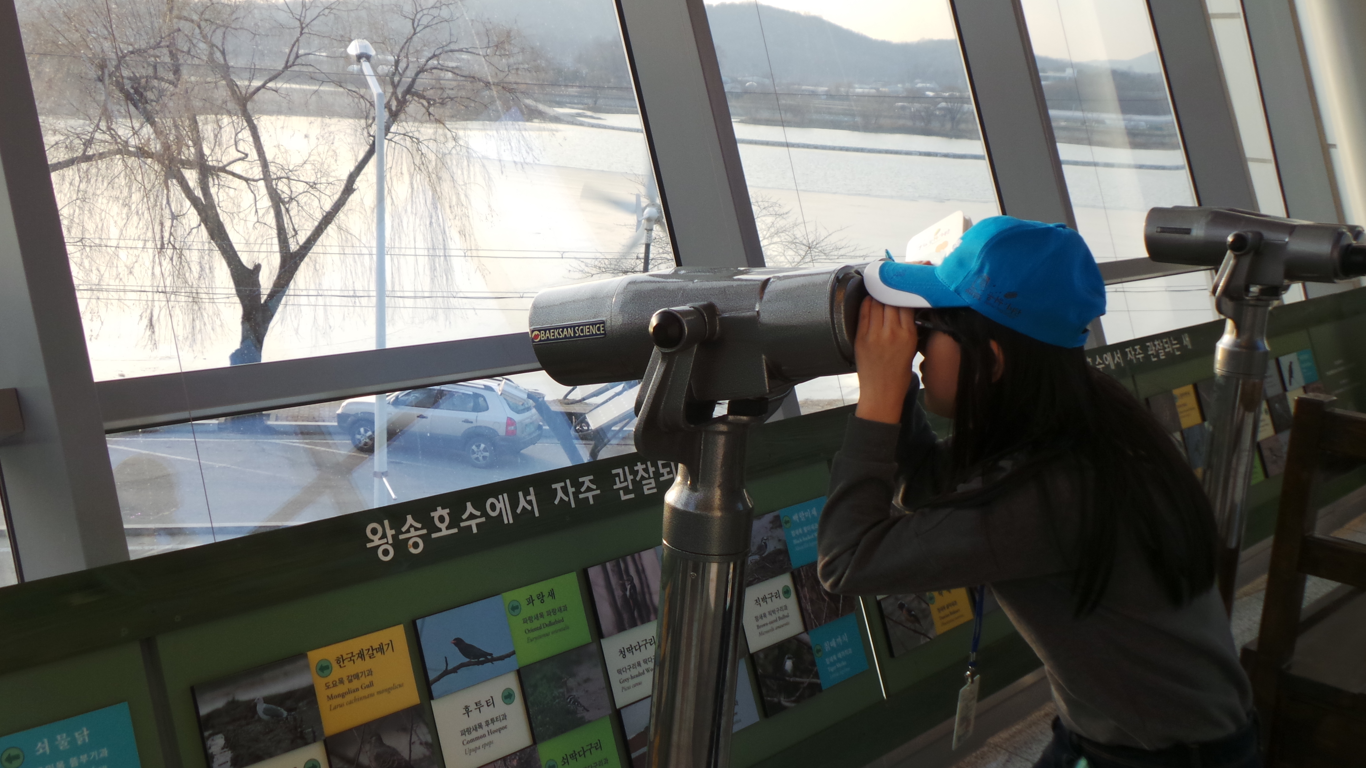 조류탐조쉼터에서 망원경으로 왕송호수의 철새들을 감상할 수 있다.