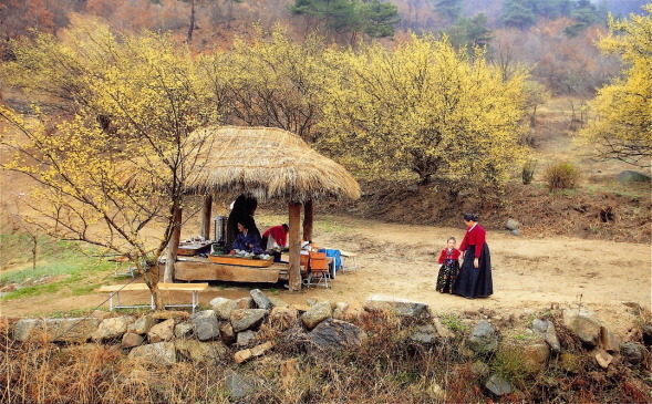 양평 봄축제 4종 세트! 고로쇠,산나물,산수유한우,딸기축제!