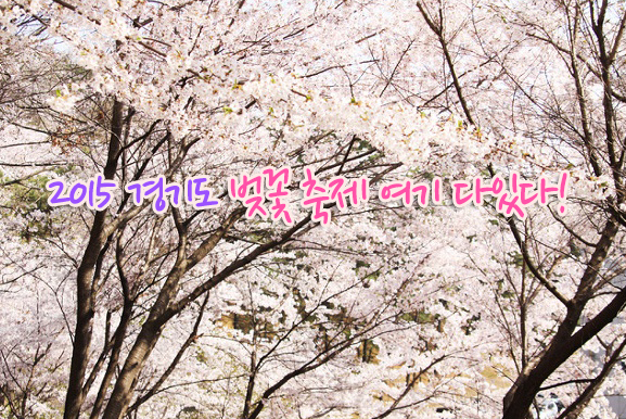 2015 경기도 벚꽃 축제 여기 다있다! 이미지